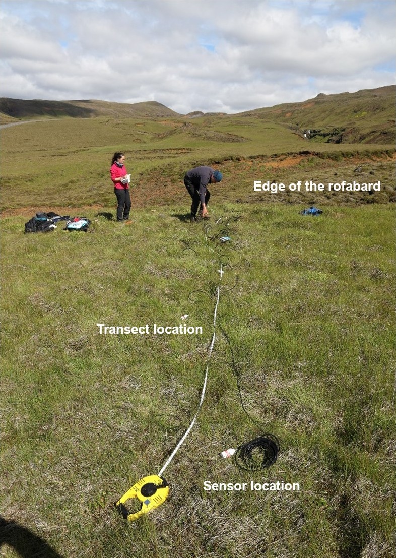 土壤濕度測(cè)量案例