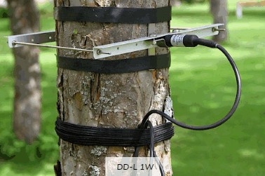 直徑生長測量傳感器