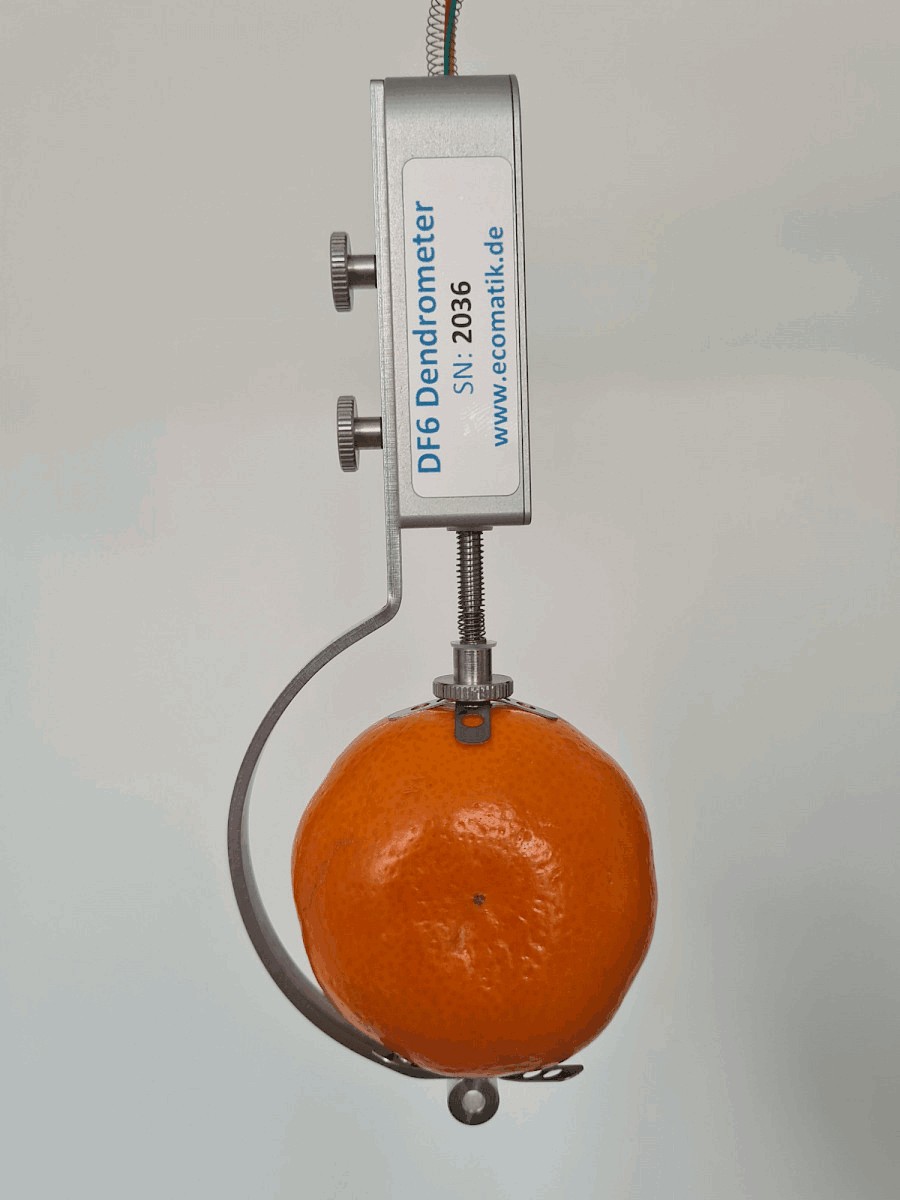 生長測量傳感器