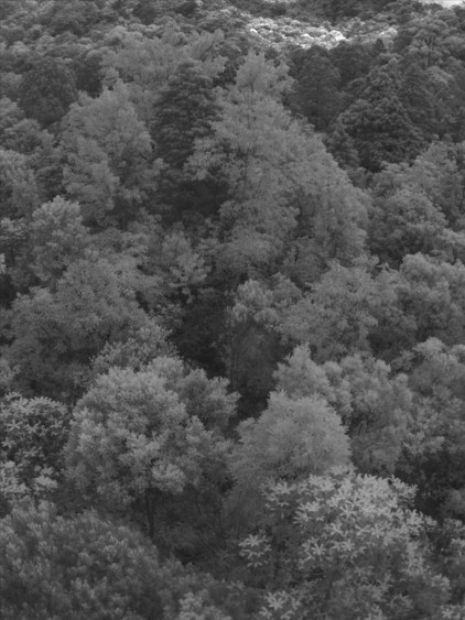 圖片關(guān)鍵詞