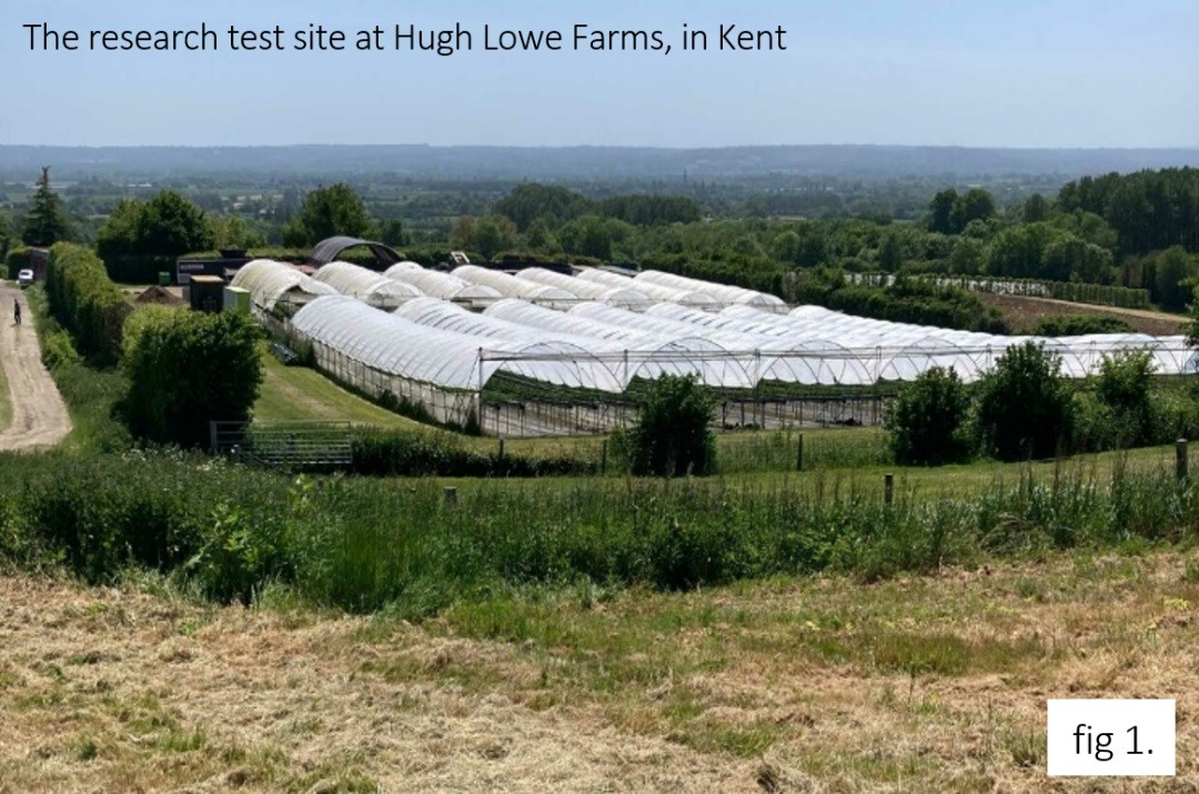 BF5日照輻射傳感器